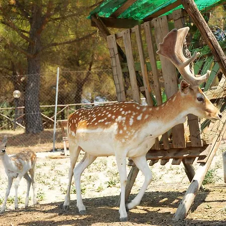 Il Rosciolo Alloggio per agriturismo *