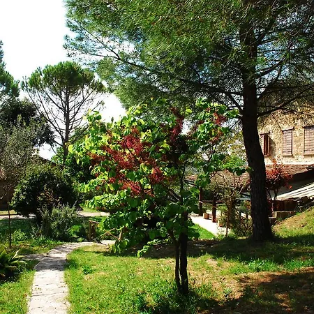 Il Rosciolo Piccione
