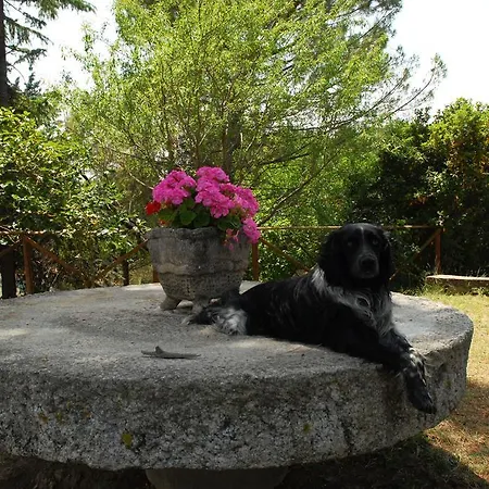 Alloggio per agriturismo Il Rosciolo Piccione