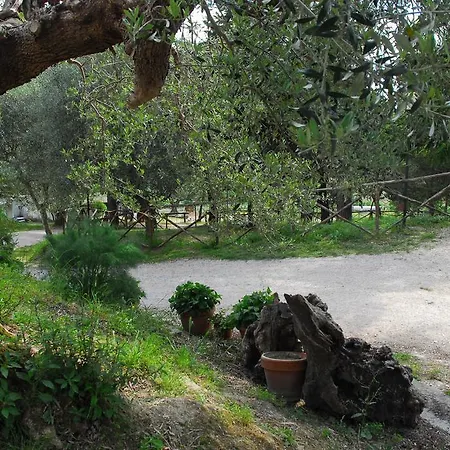 Il Rosciolo Alloggio per agriturismo *