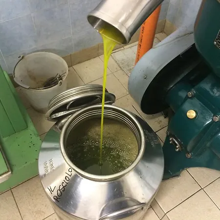 Alloggio per agriturismo Il Rosciolo *