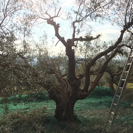 Alloggio per agriturismo Il Rosciolo